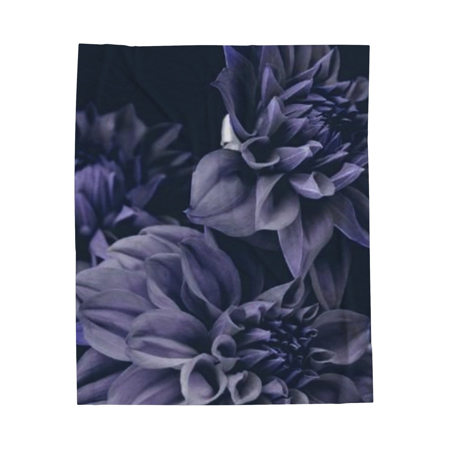 Blue Dahlia Blanket