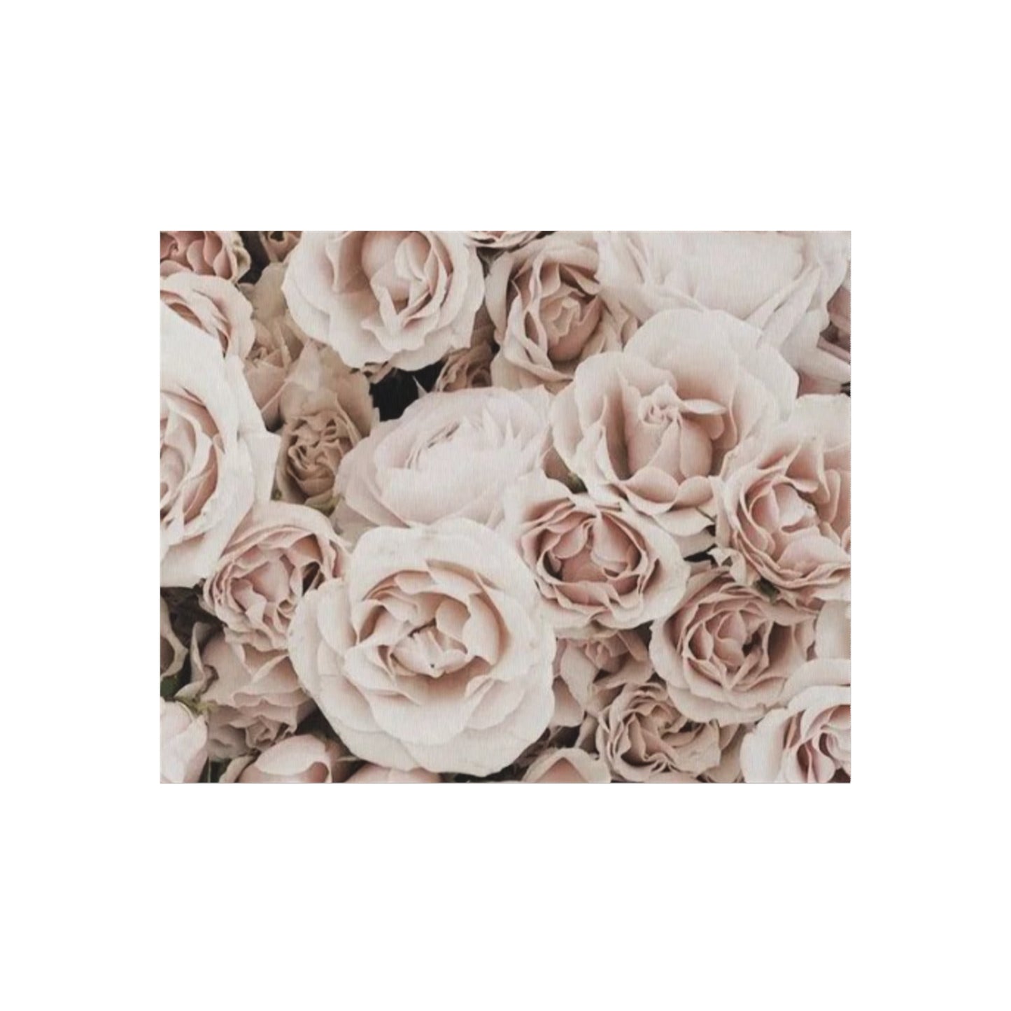 Light Pink Roses Outdoor Rug