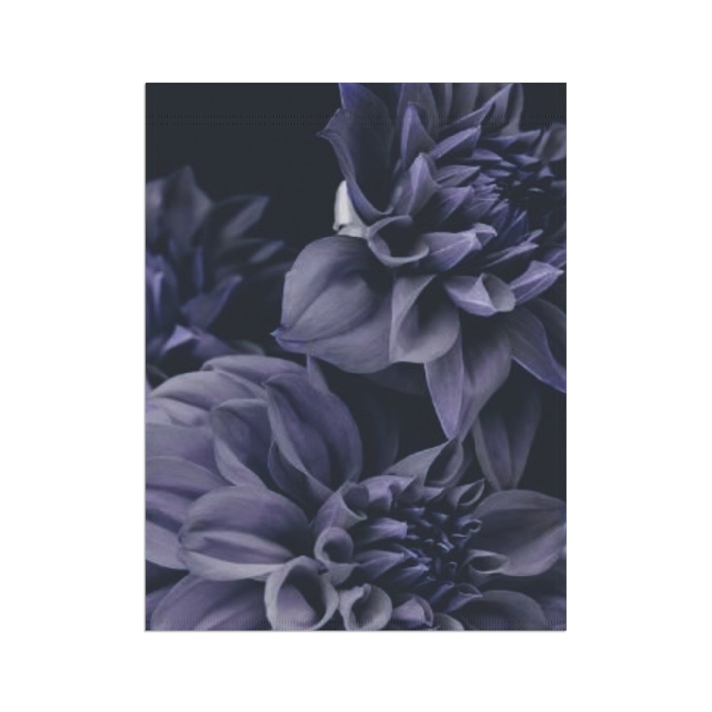 Blue Dahlia Garden & House Banner