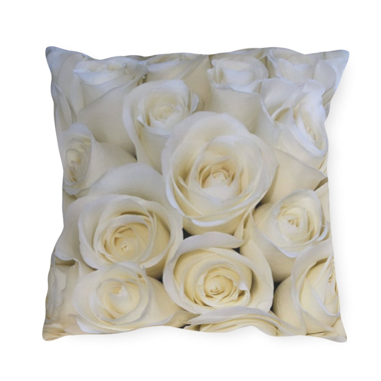 White Roses Outdoor Pillow