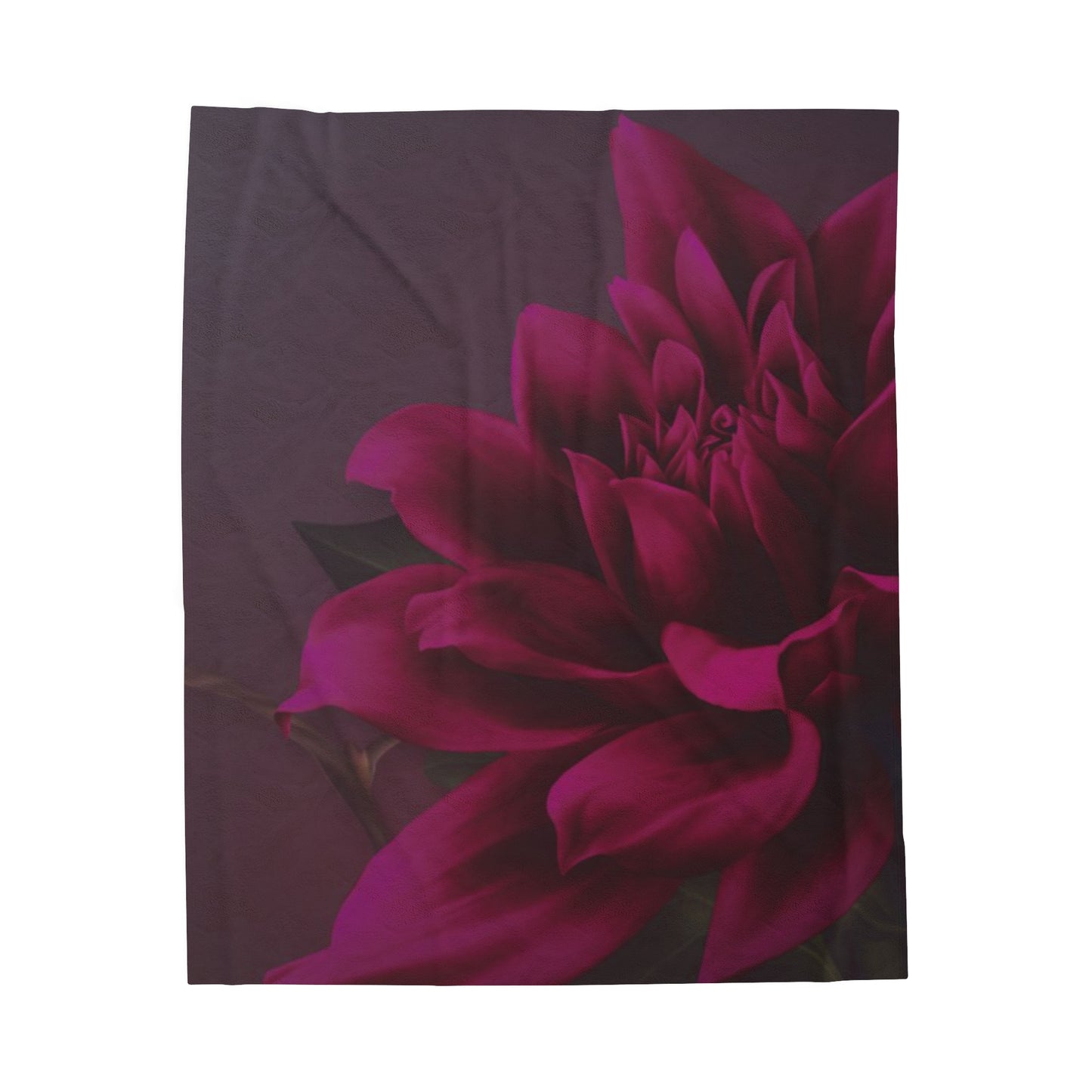 Magenta Dahlia Blanket