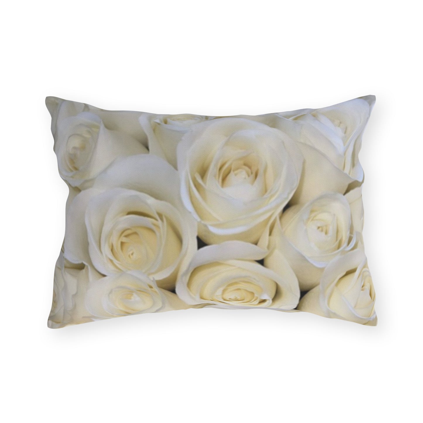 White Roses Outdoor Pillow