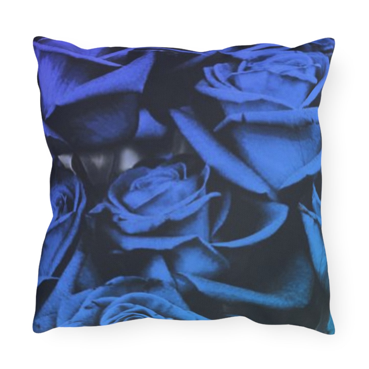 Blue Roses Outdoor Pillow