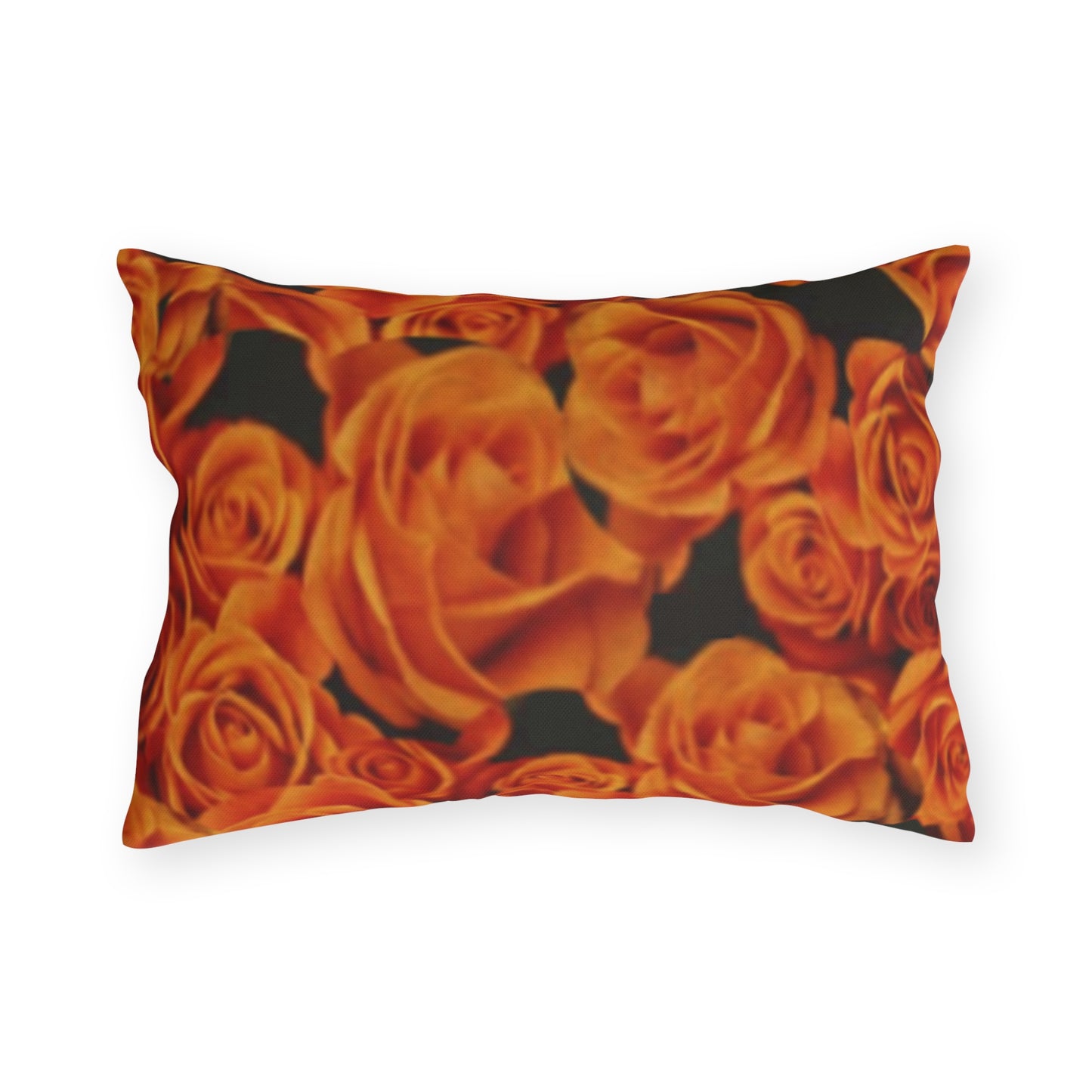 Orange Roses Outdoor Pillow