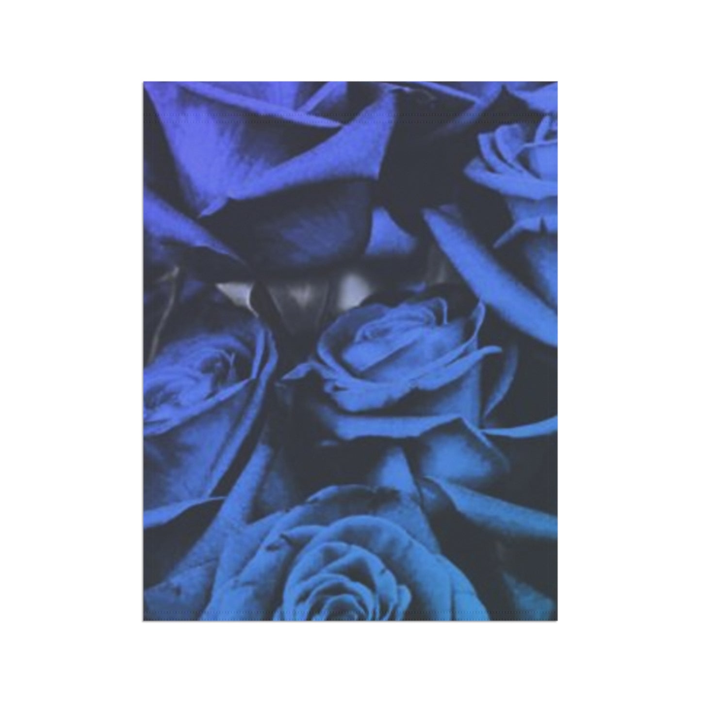Blue Roses Garden & House Banner
