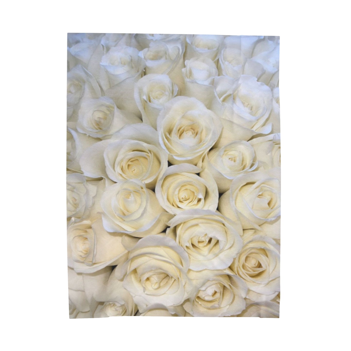 Soft Floral Blanket – White Roses Design for Pure Comfort