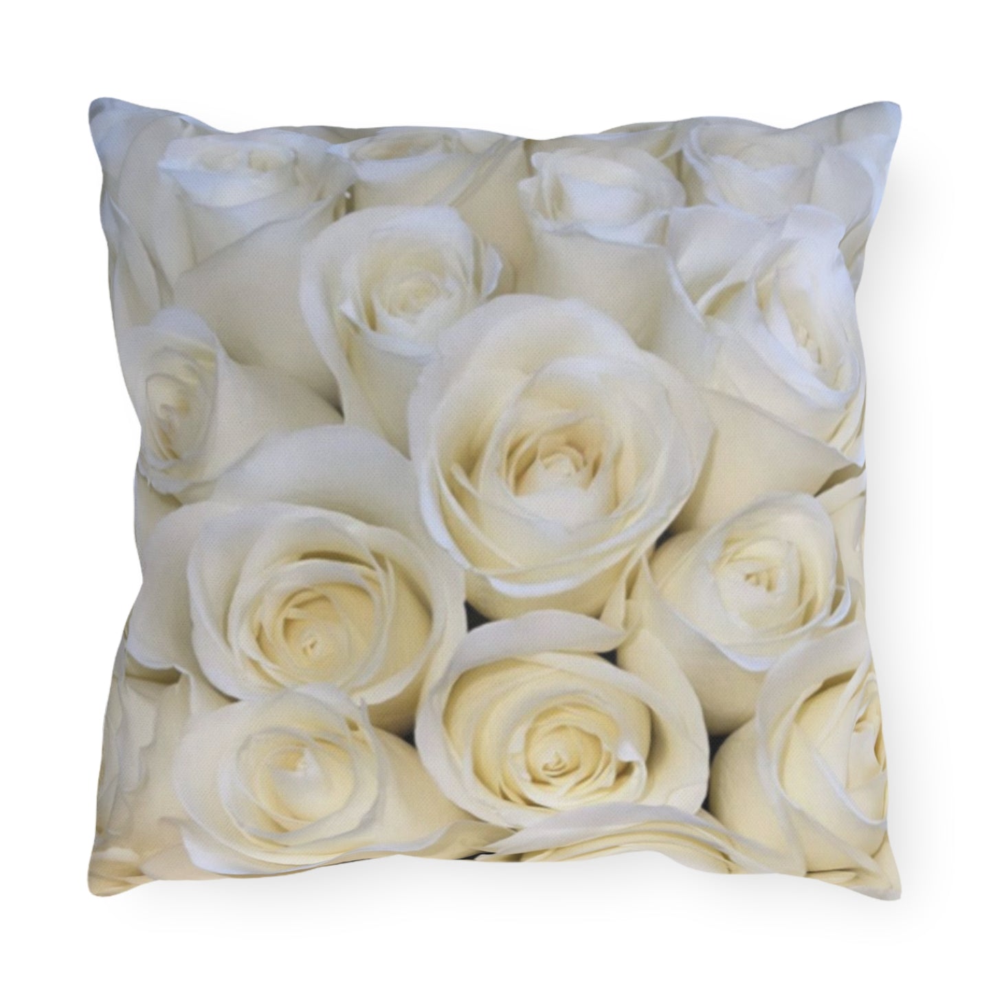 White Roses Outdoor Pillow