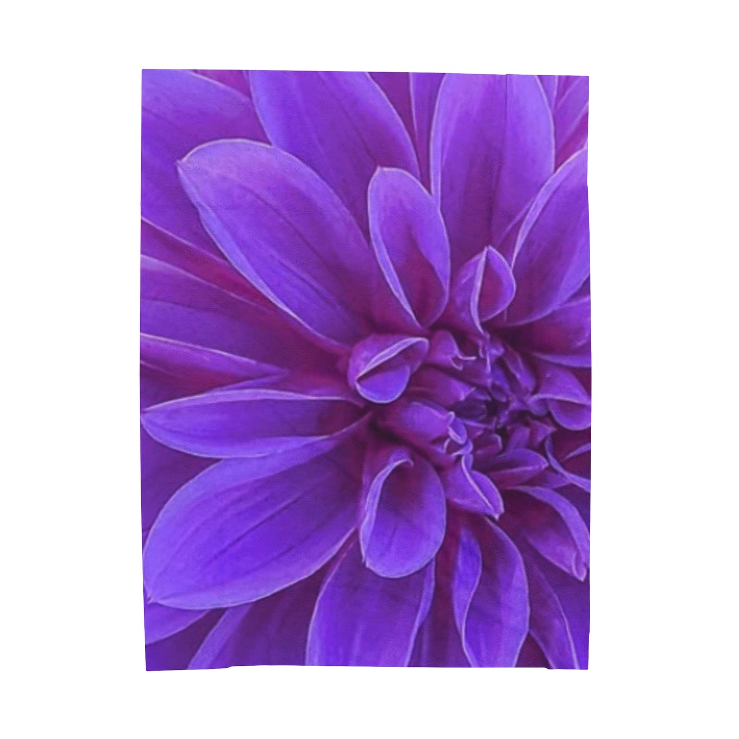 Soft Floral Blanket – Purple Dahlia Design for Cozy Decor