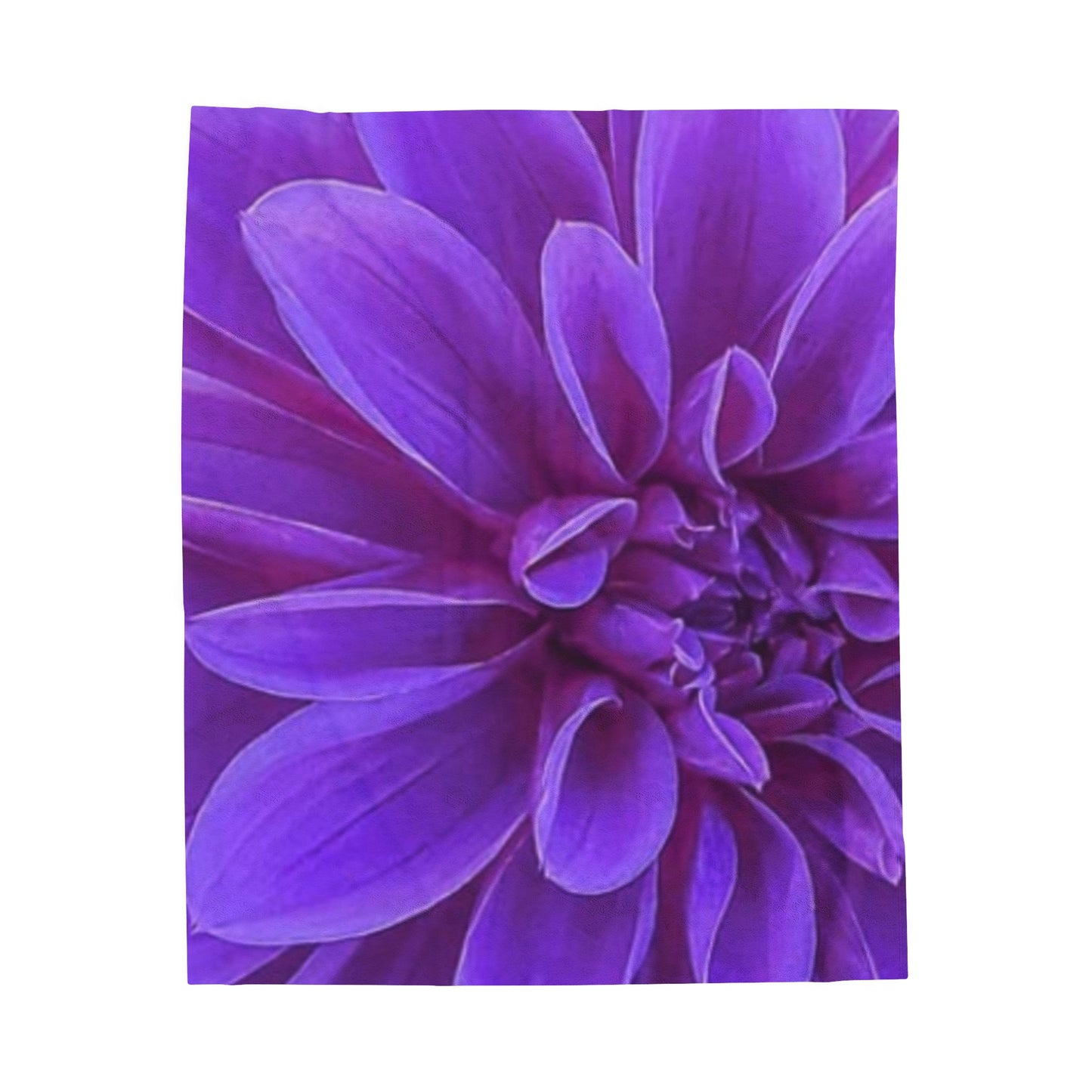 Soft Floral Blanket – Purple Dahlia Design for Cozy Decor