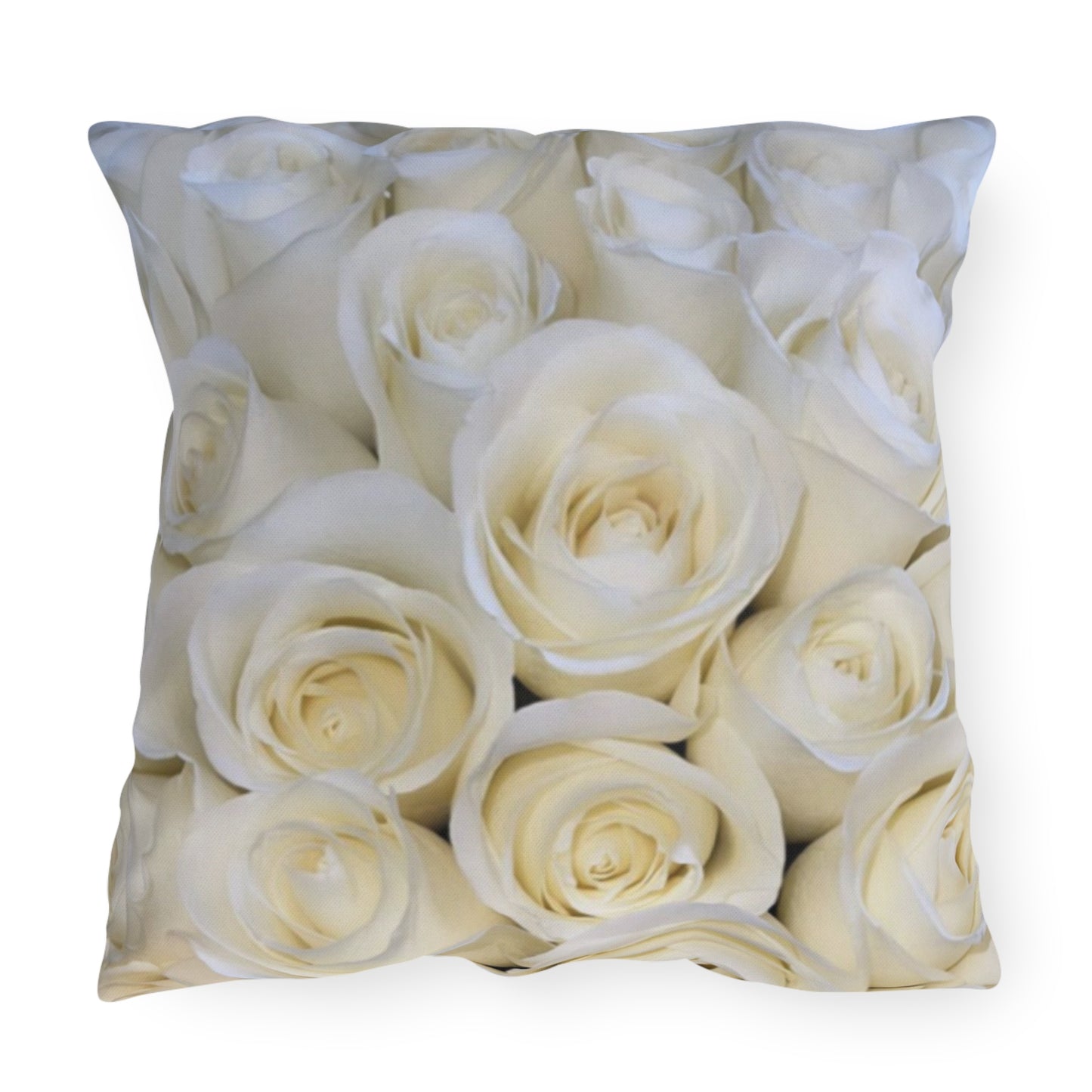 White Roses Outdoor Pillow