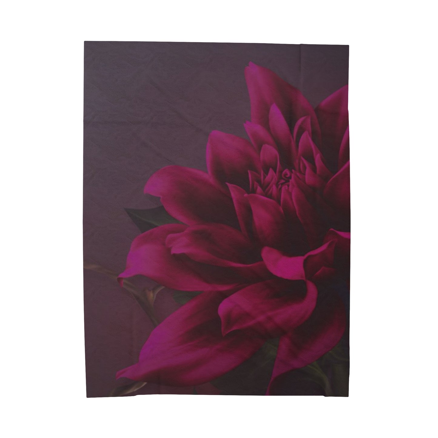 Magenta Dahlia Blanket