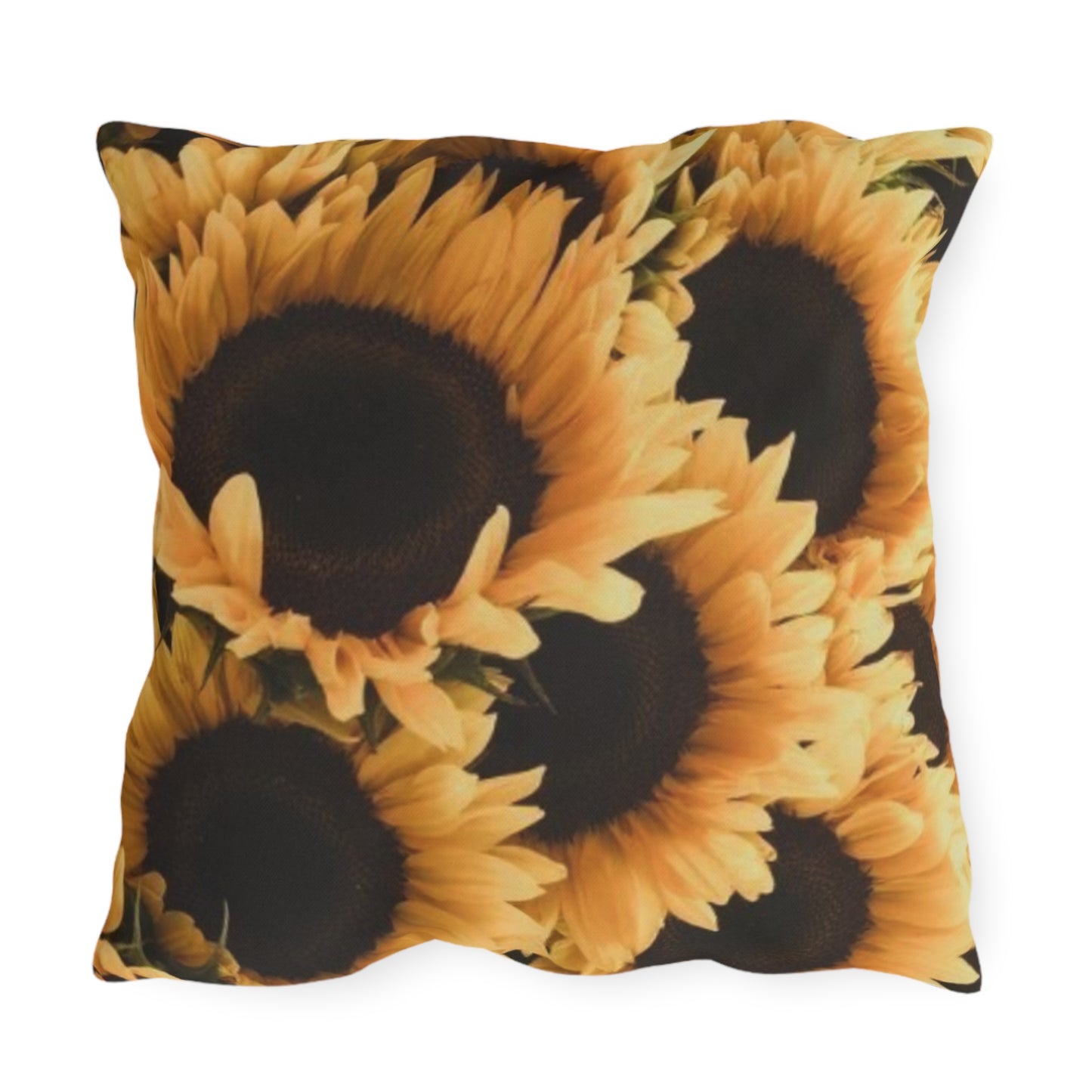 Sunflower Outdoor Pillow
