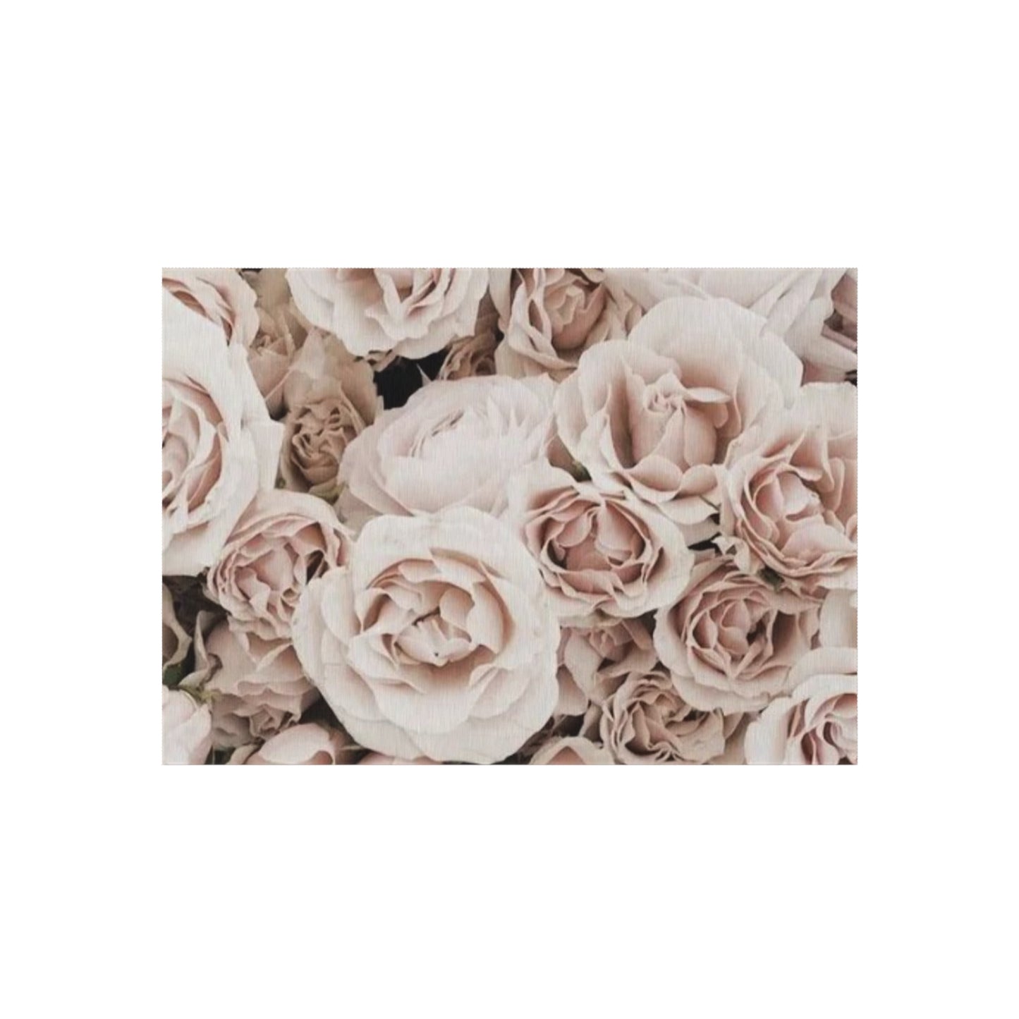 Light Pink Roses Outdoor Rug