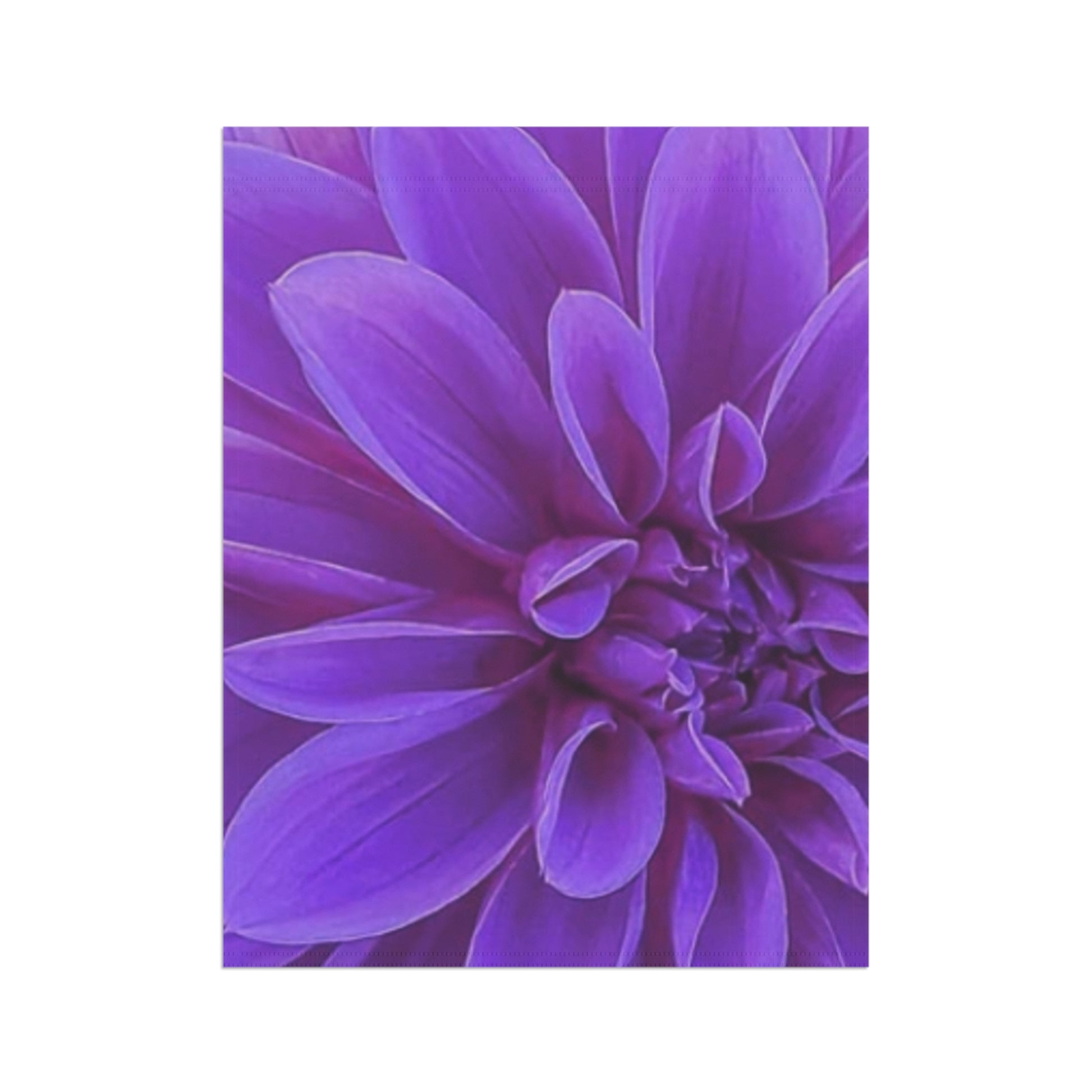 Purple Dahlia Floral Garden and House Banner – Stylish Outdoor Flag

