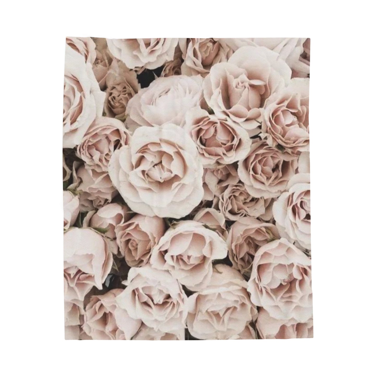 Light Pink Roses Blanket