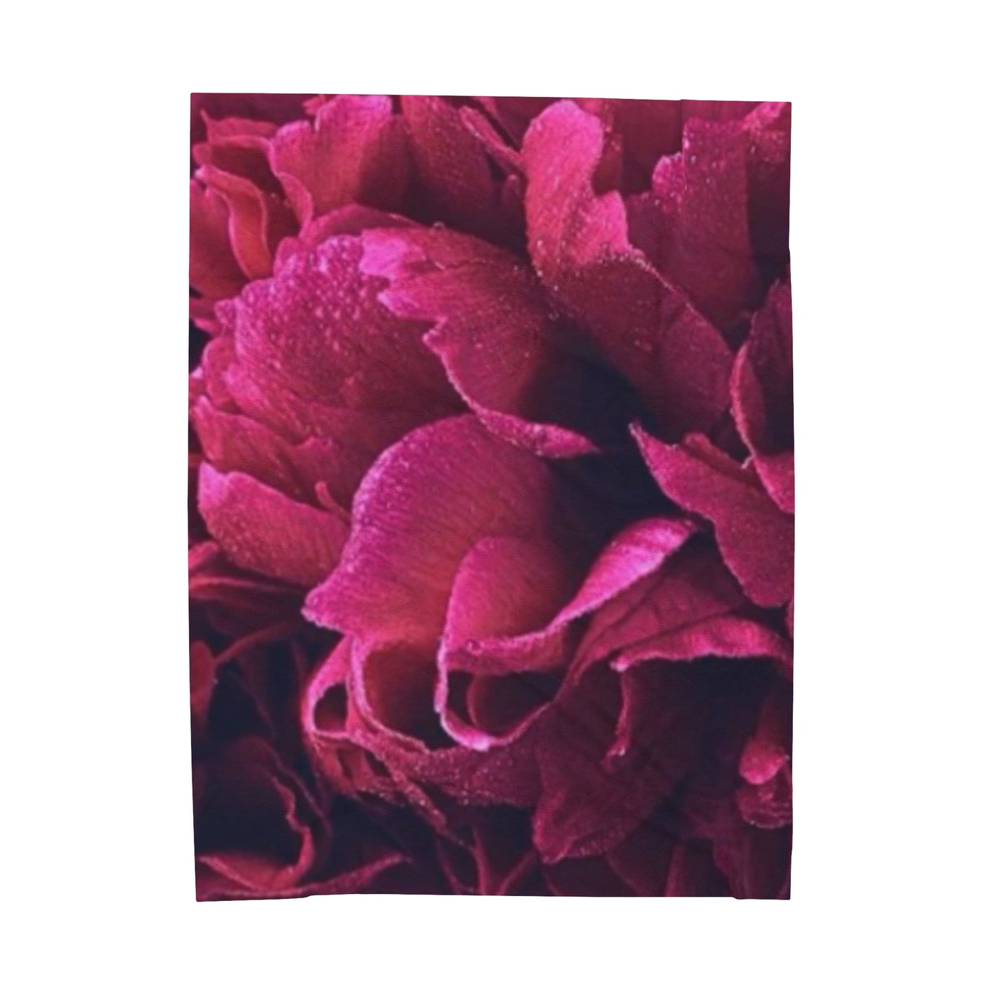 Soft Floral Blanket – Magenta Floral Style for Modern Homes