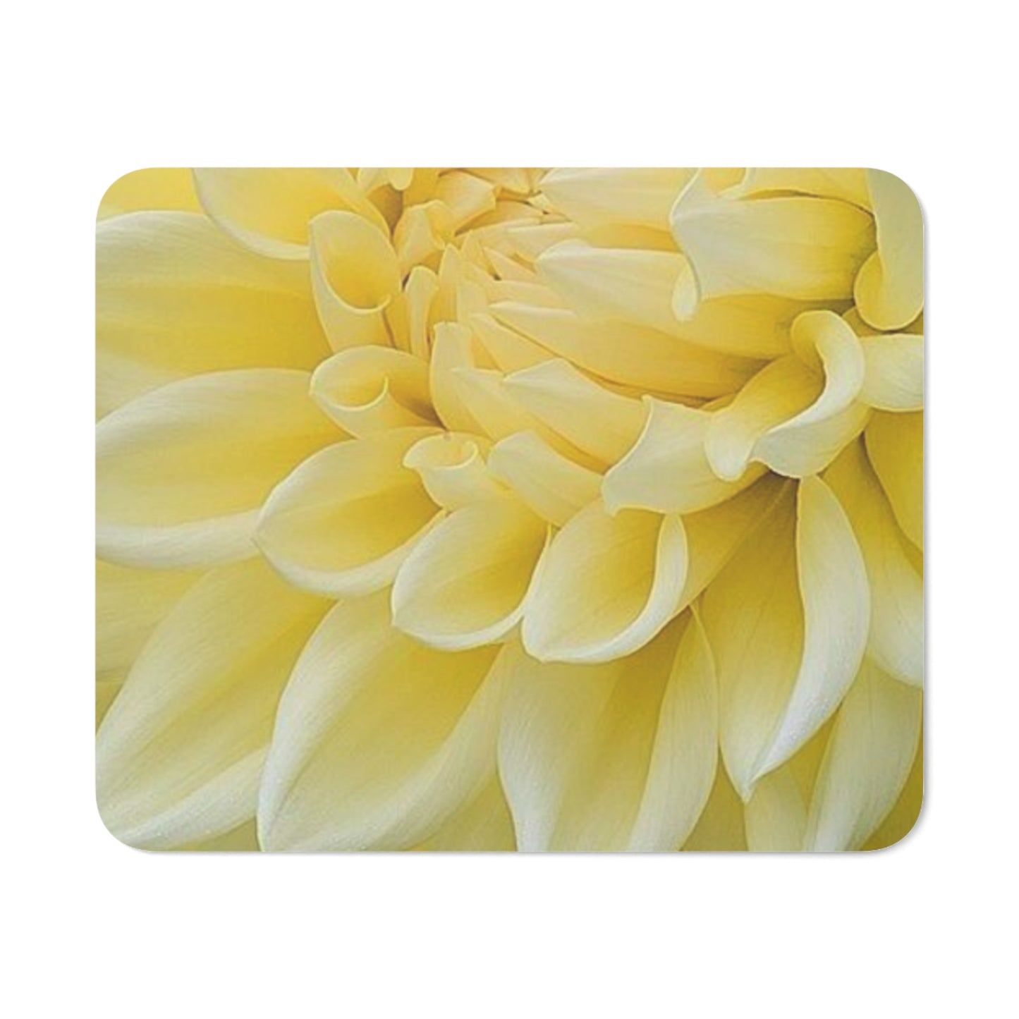 Yellow Dahlia Desk Mouse Pad
