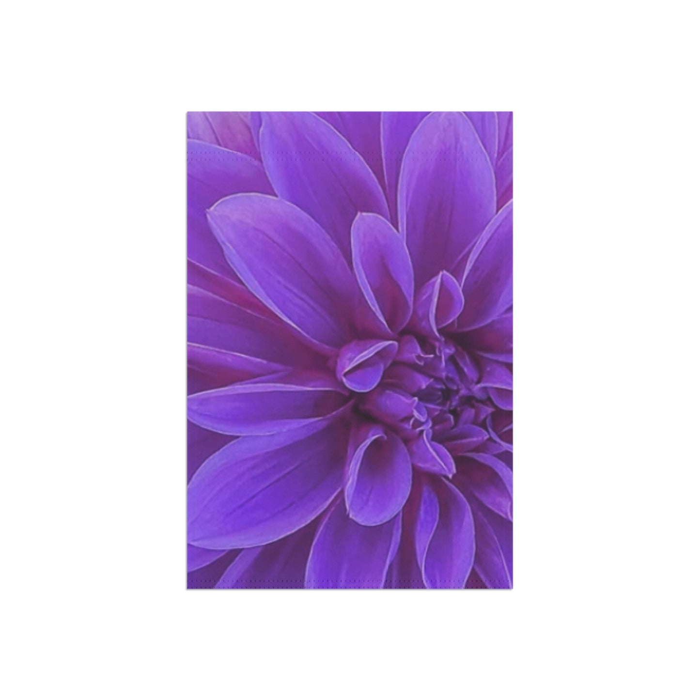 Purple Dahlia Floral Garden and House Banner – Stylish Outdoor Flag

