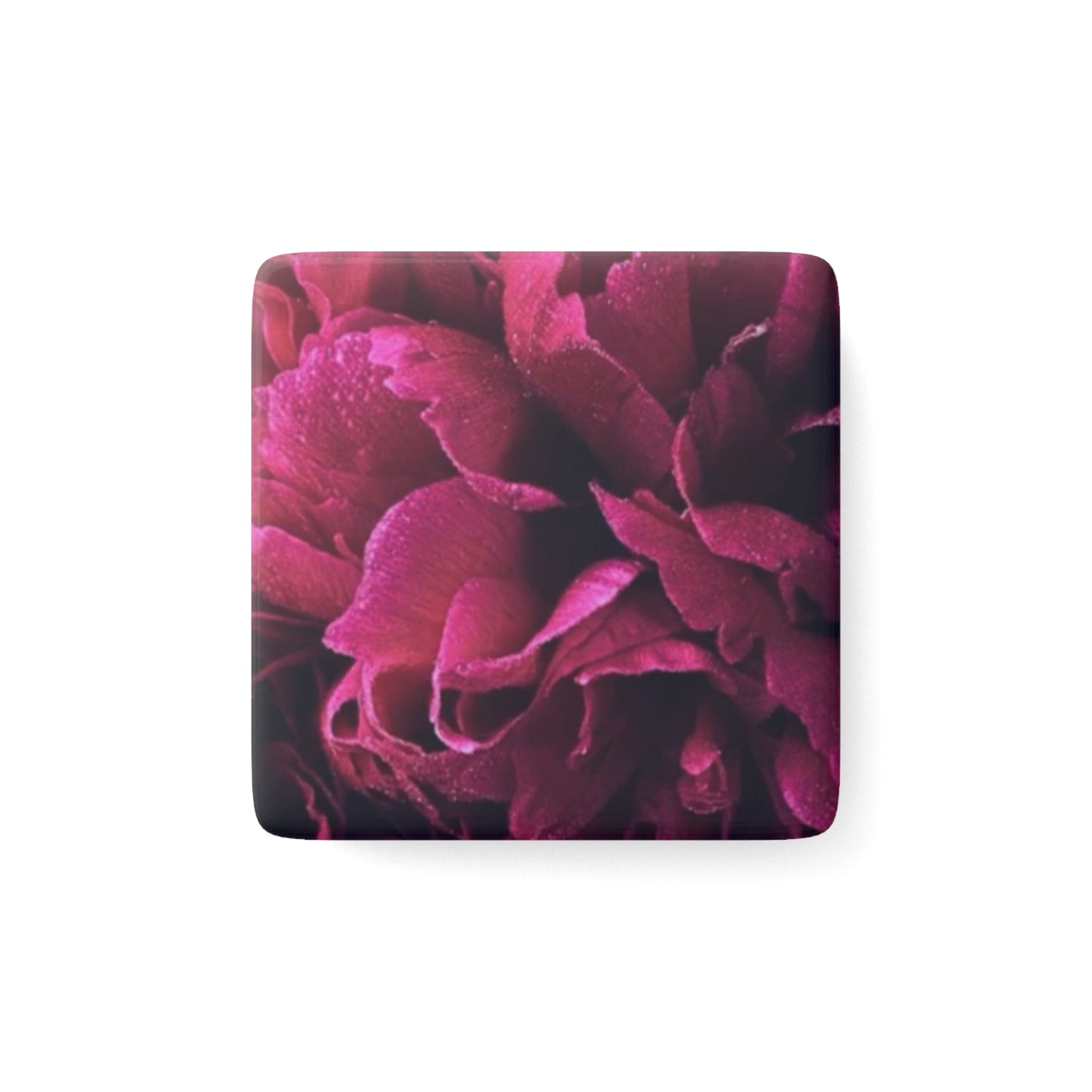  Magenta Floral Floral Square Magnet – Floral Square Magnets


