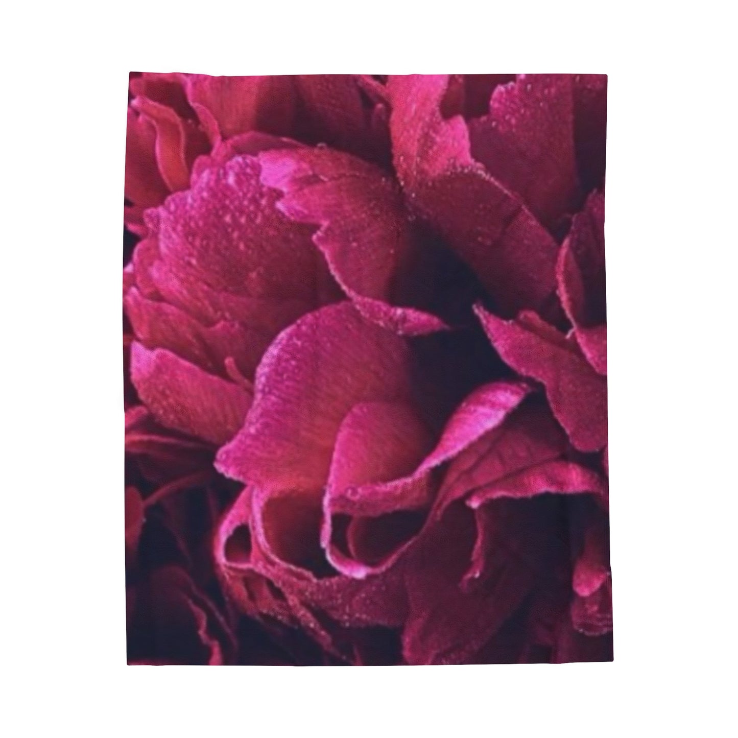 Soft Floral Blanket – Magenta Floral Style for Modern Homes